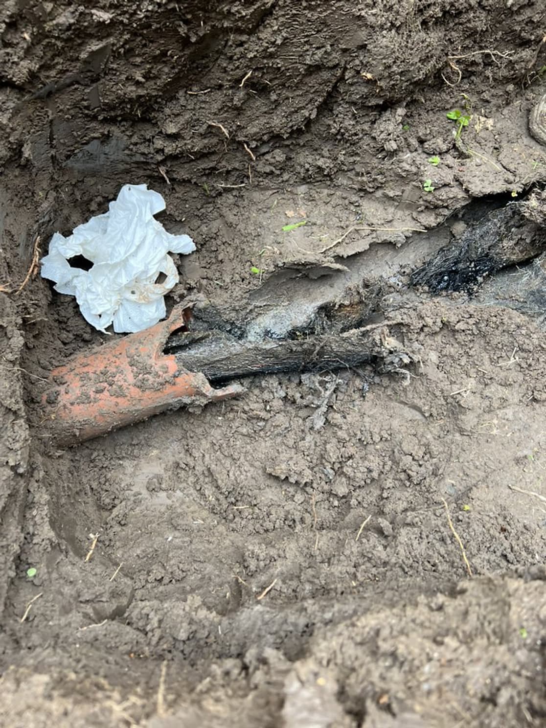Broken pieces of a clay sewer line and roots in an open trench