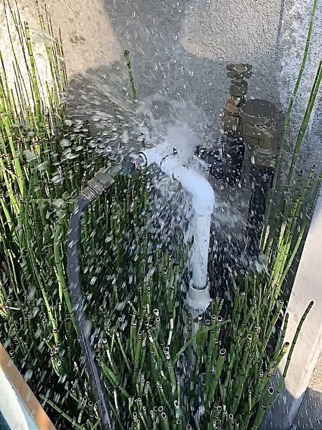 A white plastic water pipe bursting and spraying water beside a house wall, among tall green plants