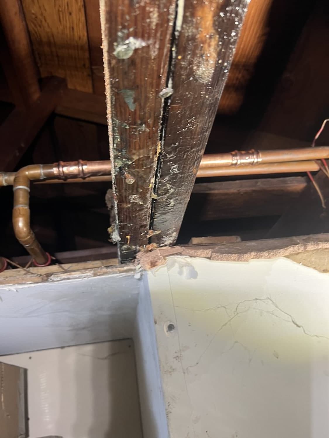 New copper pipe with press fittings running under the floor framing