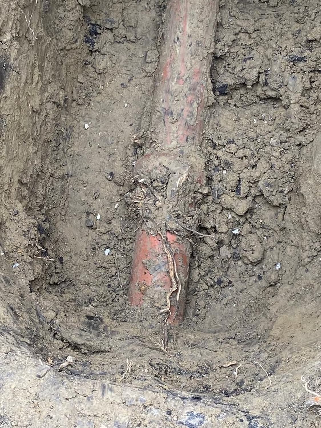 An old clay sewer pipe running down through the soil at the bottom of a dug hole, with roots around it